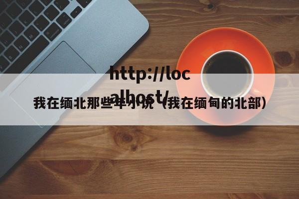 我在缅北那些年小说（我在缅甸的北部）